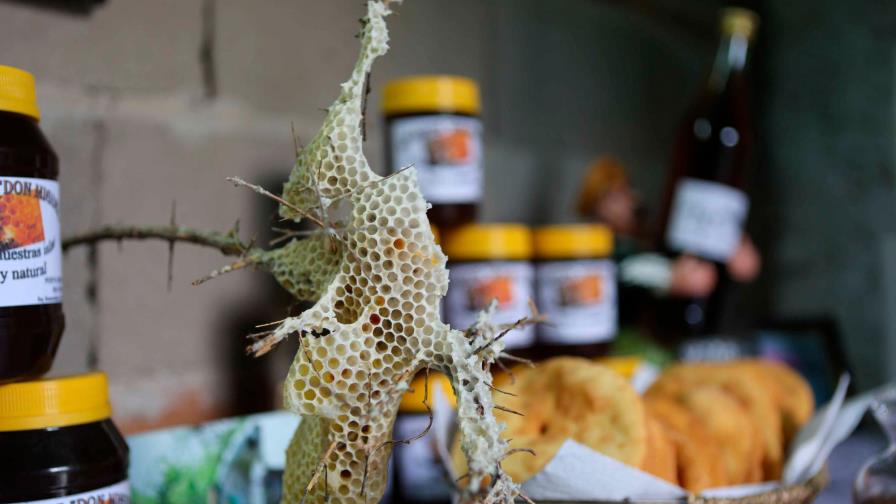 La miel de isla: el sacrificado oficio que obliga a dormir en medio del río