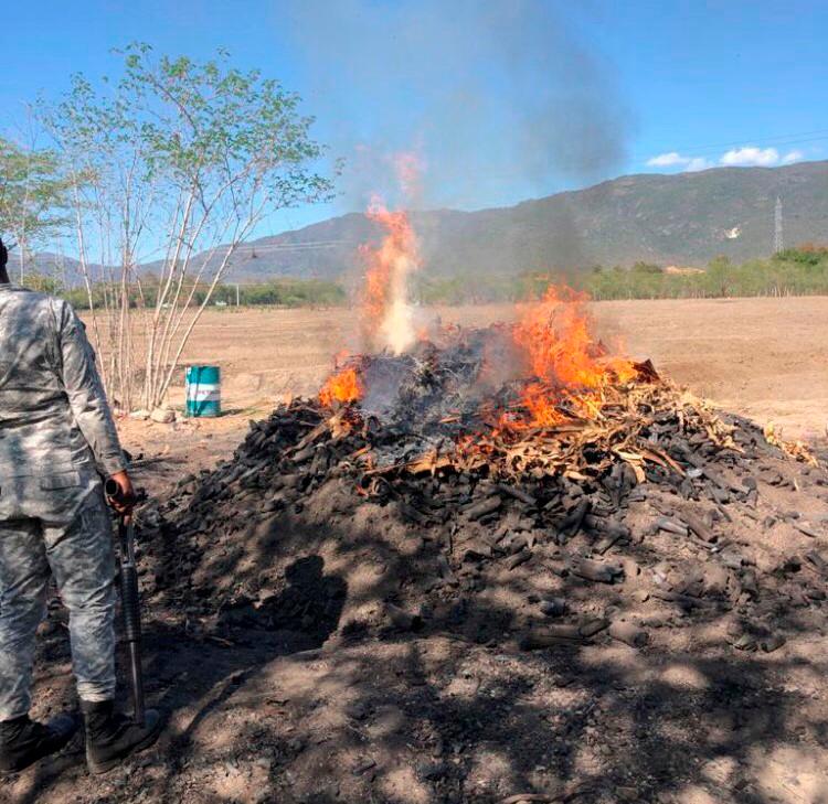 El Ministerio de Medio Ambiente destruyó hornos ilegales de carbón.