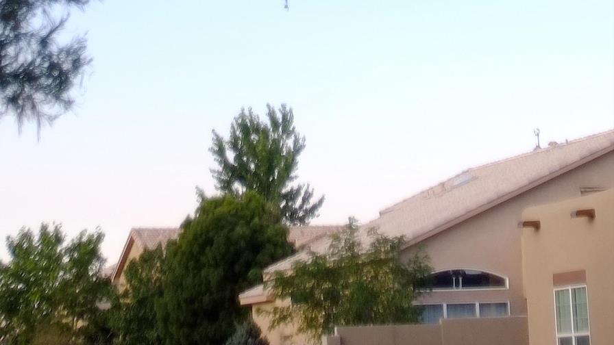 Reporte: Piloto de aerostato estrellado consumió drogas Reporte: Piloto de aerostato estrellado consumió drogas