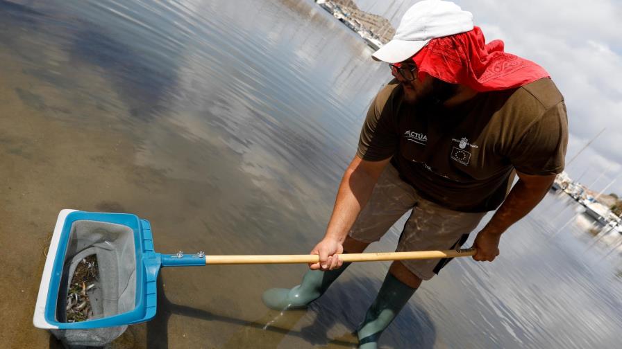 España endurece normas sobre fertilizantes: peces muertos