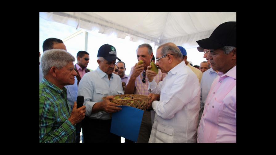 Presidente Medina supervisa proyectos de visitas sorpresa en Baní y San Cristóbal Presidente Medina supervisa proyectos de visitas sorpresa en Baní y San Cristóbal