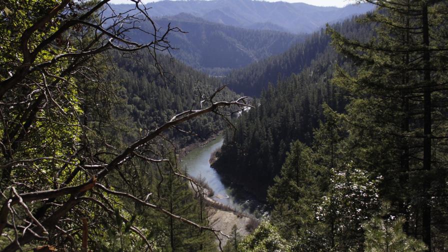 EEUU: Acuerdo histórico revive plan para salvar salmones