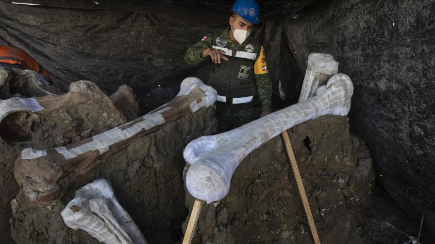 Mamuts al norte de la capital mexicana aumentan a 200