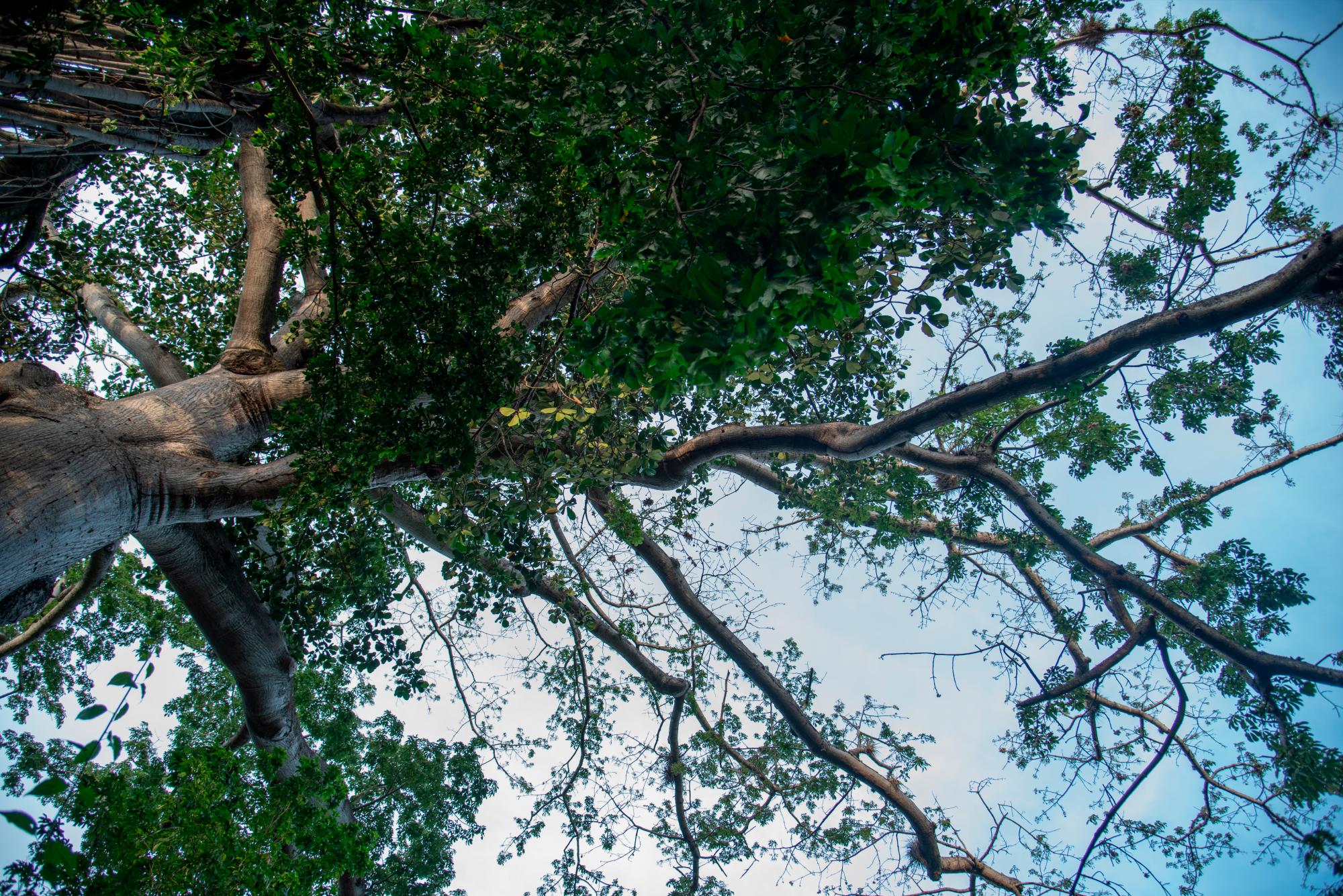 Puerto Escondido, Sierra de Bahoruco