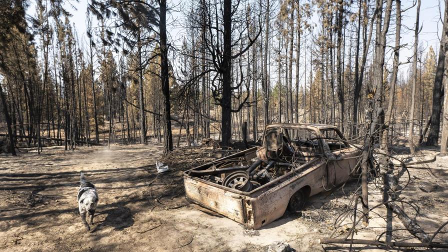 Cuadrillas avanzan frente a incendio en el oeste de EEUU Cuadrillas avanzan frente a incendio en el oeste de EEUU