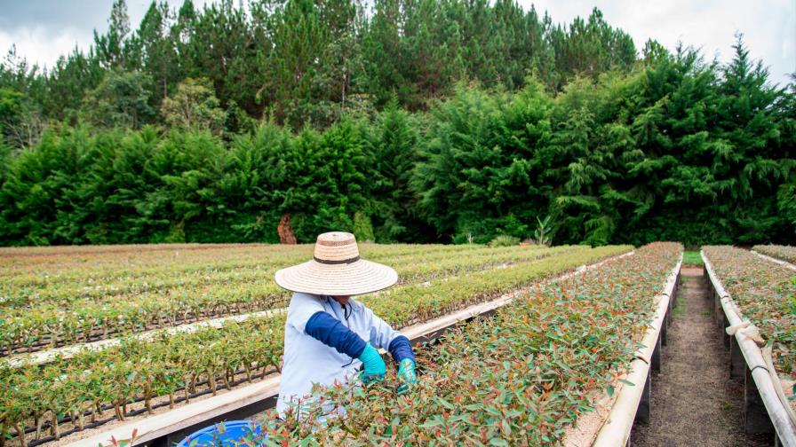 Colombia es el país anfitrión del Día Mundial del Medio Ambiente