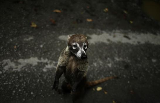 Las mejores fotos de la semana en América Latina