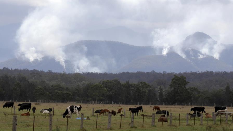 Australia descarta marcarse una meta de reducción de metano