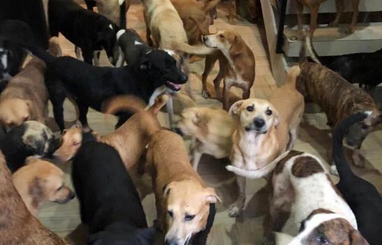 Alberga en casa a cientos de animales durante huracán Delta