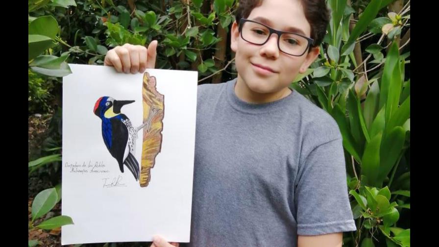 A los 14 años produce guía de aves en Colombia, es premiado