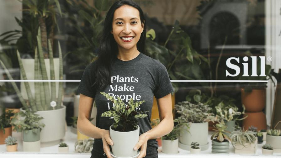 Crece venta de plantas para interiores durante la pandemia