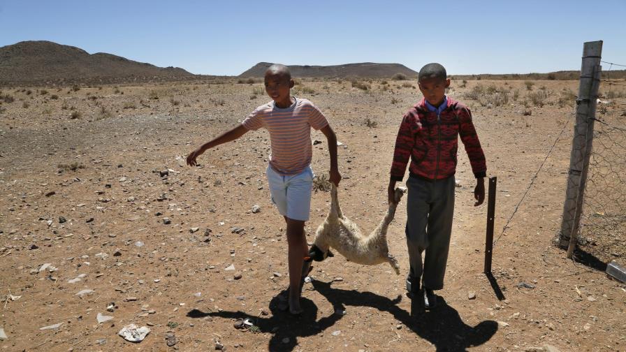 La sequía en el sur de África amenaza a millones de personas La sequía en el sur de África amenaza a millones de personas