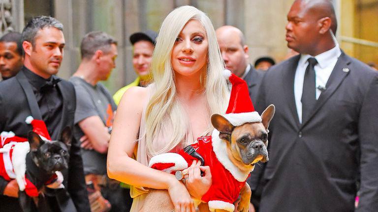Lady Gaga recupera ilesos sus costosos perros tras violento robo