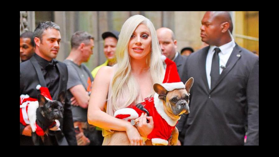 Lady Gaga recupera ilesos sus costosos perros tras violento robo Lady Gaga recupera ilesos sus costosos perros tras violento robo