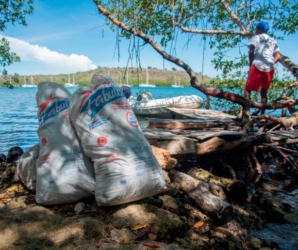 Realizan 10ma. limpieza de manglares en Luperón