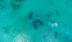 Juana, Pepe y Lupita llevan dos semanas en Bayahíbe y muchas cosas han pasado