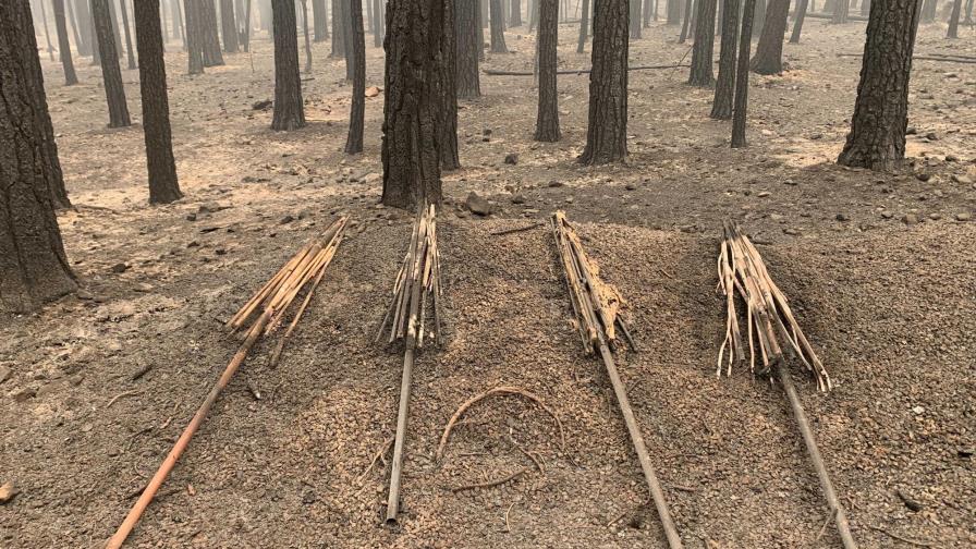 Incendio en California amenaza miles de viviendas