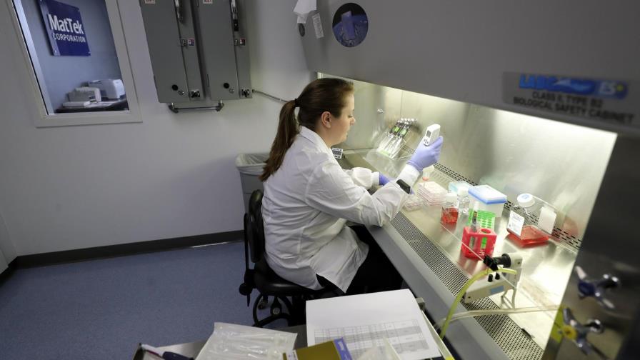 EEUU: estudian vedar cosméticos ensayados en animales EEUU: estudian vedar cosméticos ensayados en animales