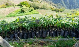 En Valle Nuevo: las ganancias de apostar al tiempo