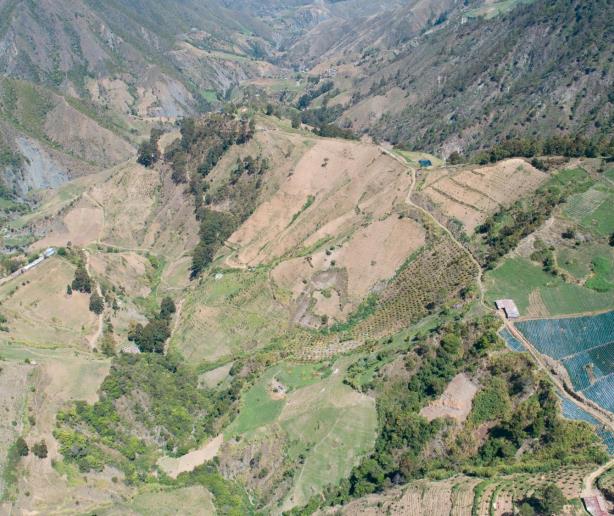 Medio Ambiente prohíbe la agricultura  y ganadería ilegal en todo Valle Nuevo