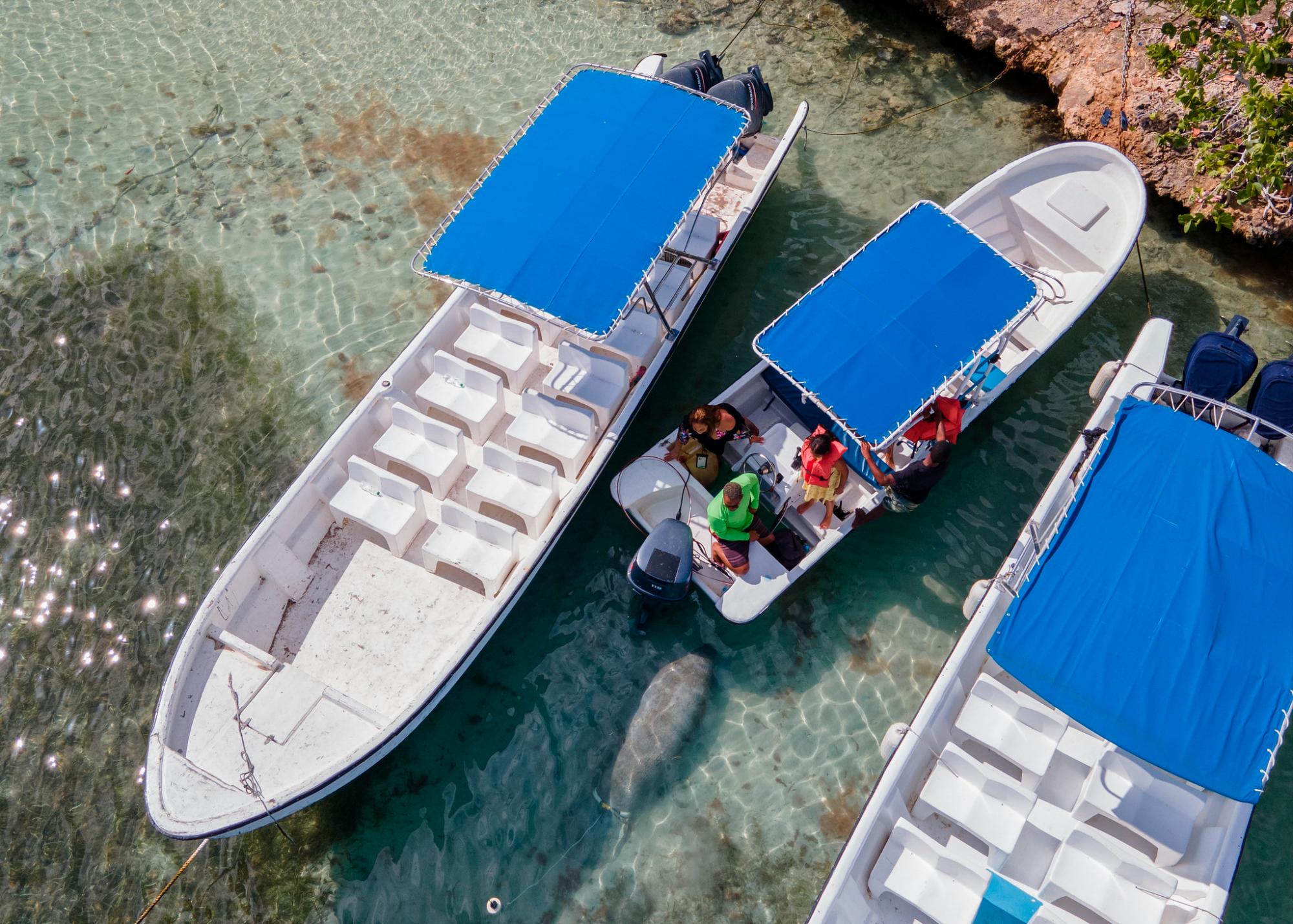 Los primeros días que llegó Juanita al río, causó gran sorpresa entre la comunidad a la rivera del río.