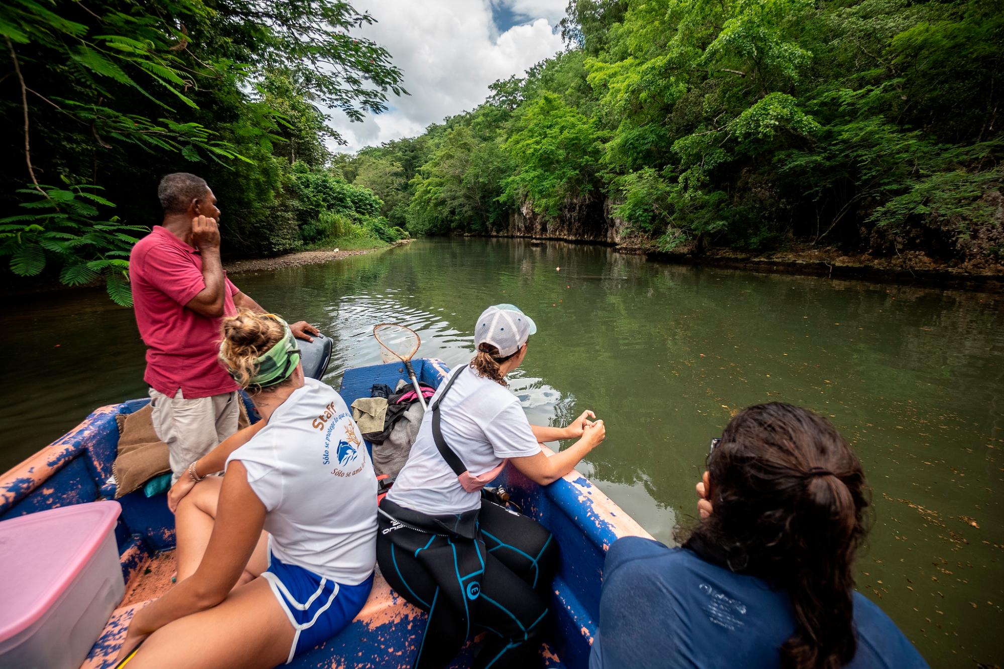 En esta etapa de libertad es importante que tengan el menor contacto con el ser humano, para que puedan vivir independientes en su hábitat.