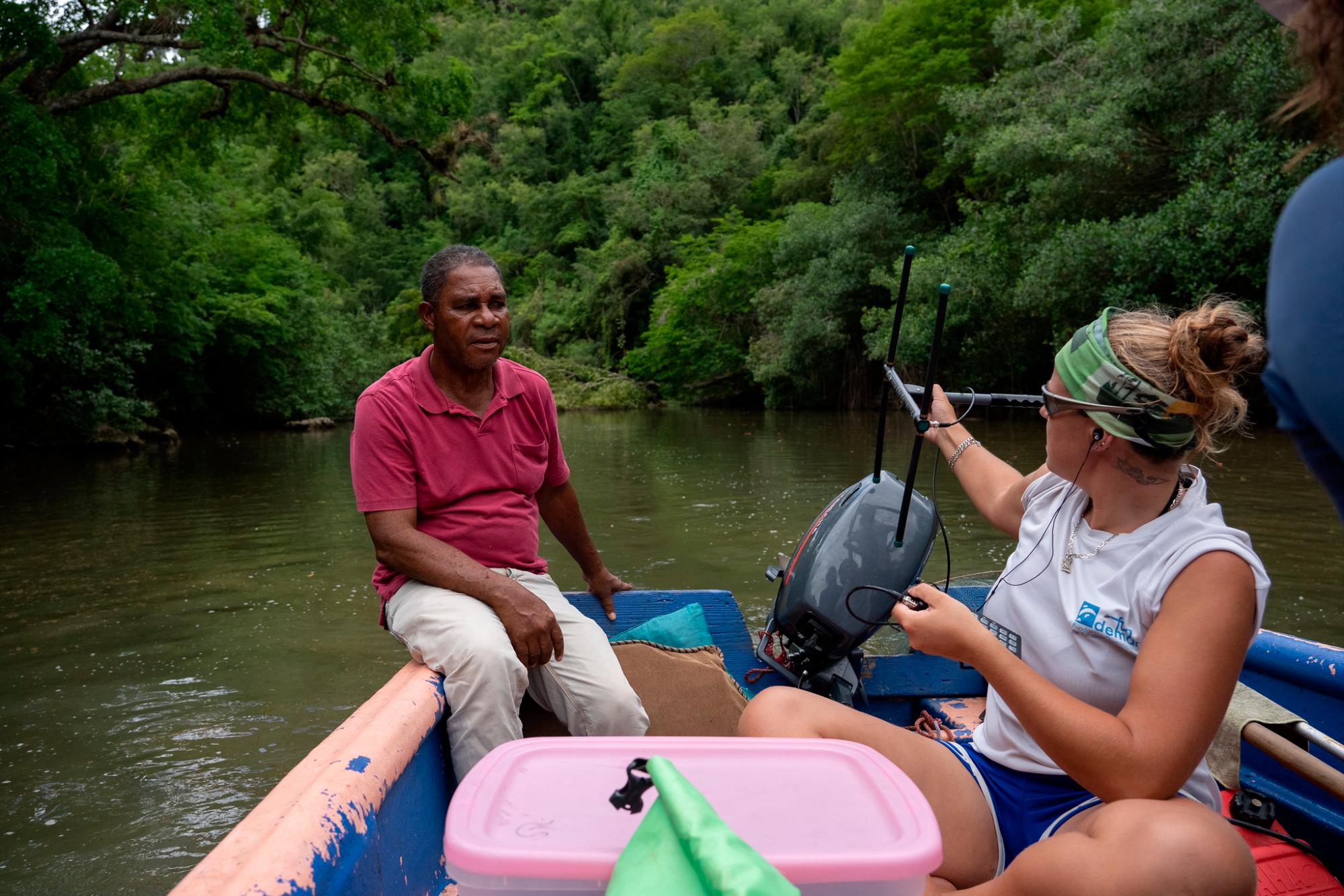 Los tres manatíes sienten curiosidad por el ser humano.