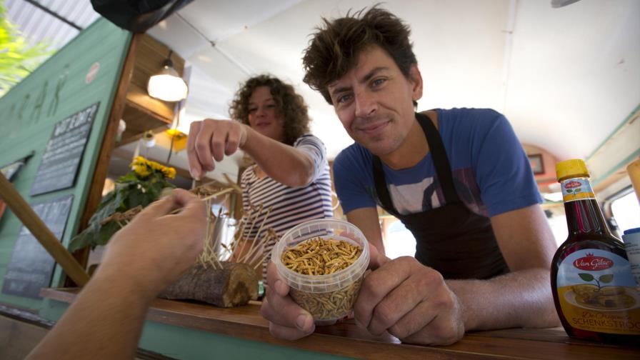 La Unión Europea da luz verde a venta de gusano de harina como comida 