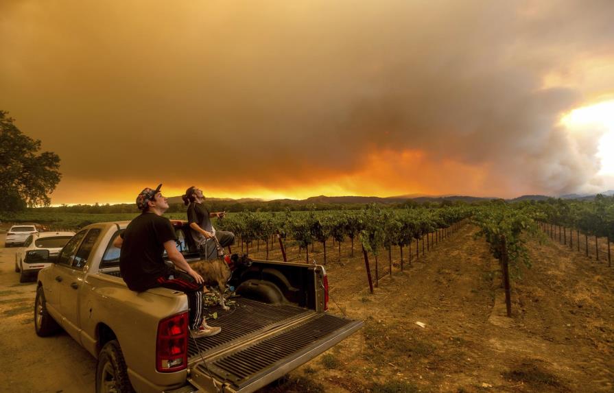 Incendios en EEUU dejan un sabor a humo en los viñedos