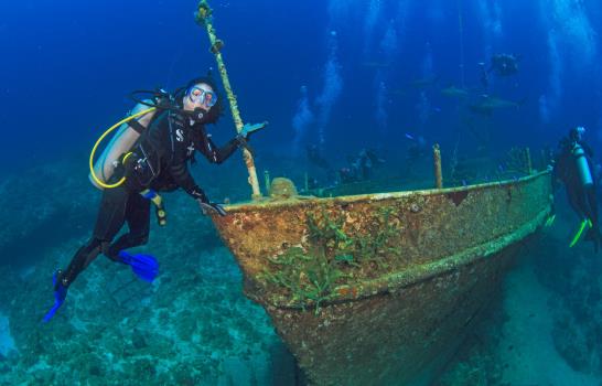 Inmersiones infinitas en las Bahamas