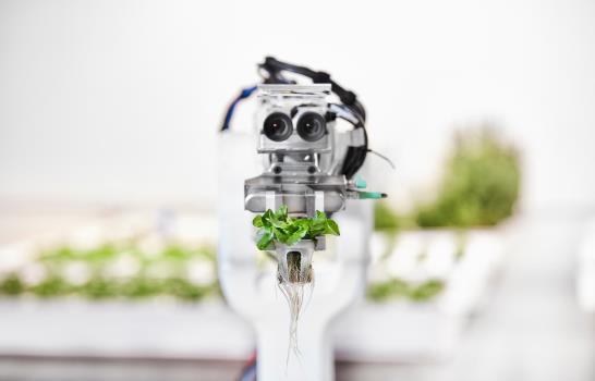 Los granjeros del futuro: robots