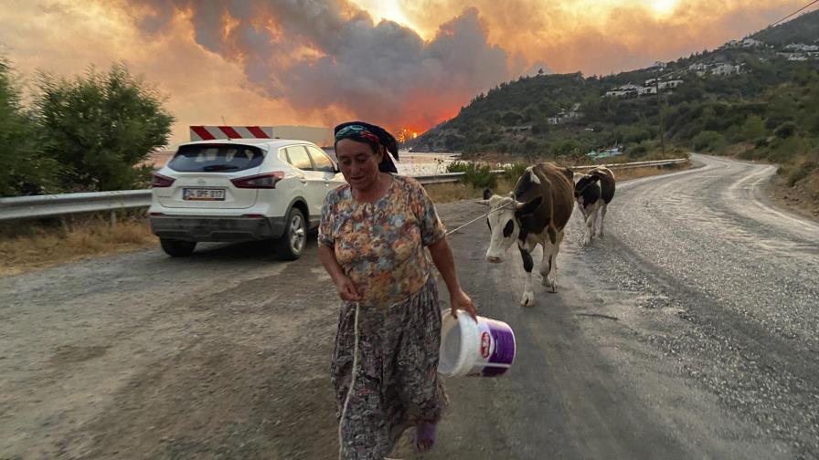 Incendios en Turquía obligan a la evacuación de vecindario