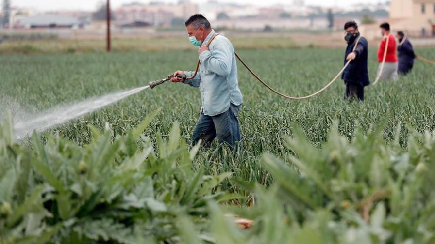 La pandemia causará hambre en partes del mundo y crisis para agricultores