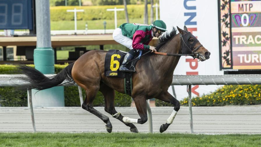 Santa Anita suspende carreras hípicas por coronavirus Santa Anita suspende carreras hípicas por coronavirus