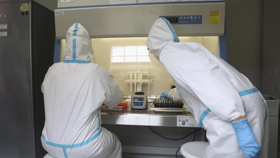 OMS: Fármaco contra malaria no frena muertes por coronavirus