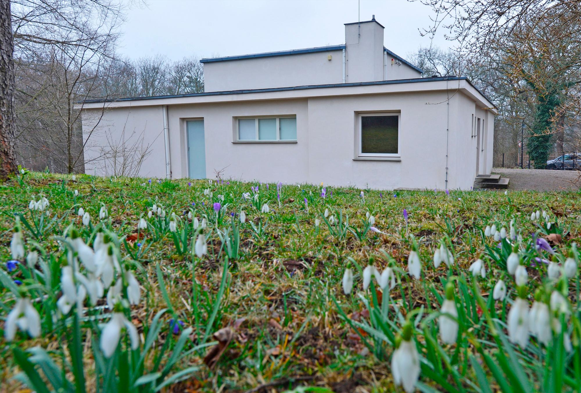 La “Haus am Horn”, fotografiada en Weimar, que fue añadida, entre otros edificios diseñados por la Escuela de Arquitectos de la Bauhaus de Weimar y Dessau, a la lista de sitios del Patrimonio Mundial por el Comité de la Organización de las Naciones Unidas para la Educación, la Ciencia y la Cultura (UNESCO) durante su reunión en Cracovia, Polonia, el 9 de julio de 2017.