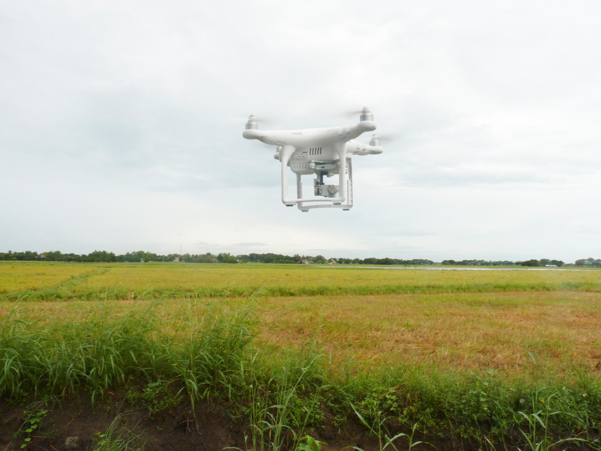 El futuro de la agricultura: entre robots y biotecnología