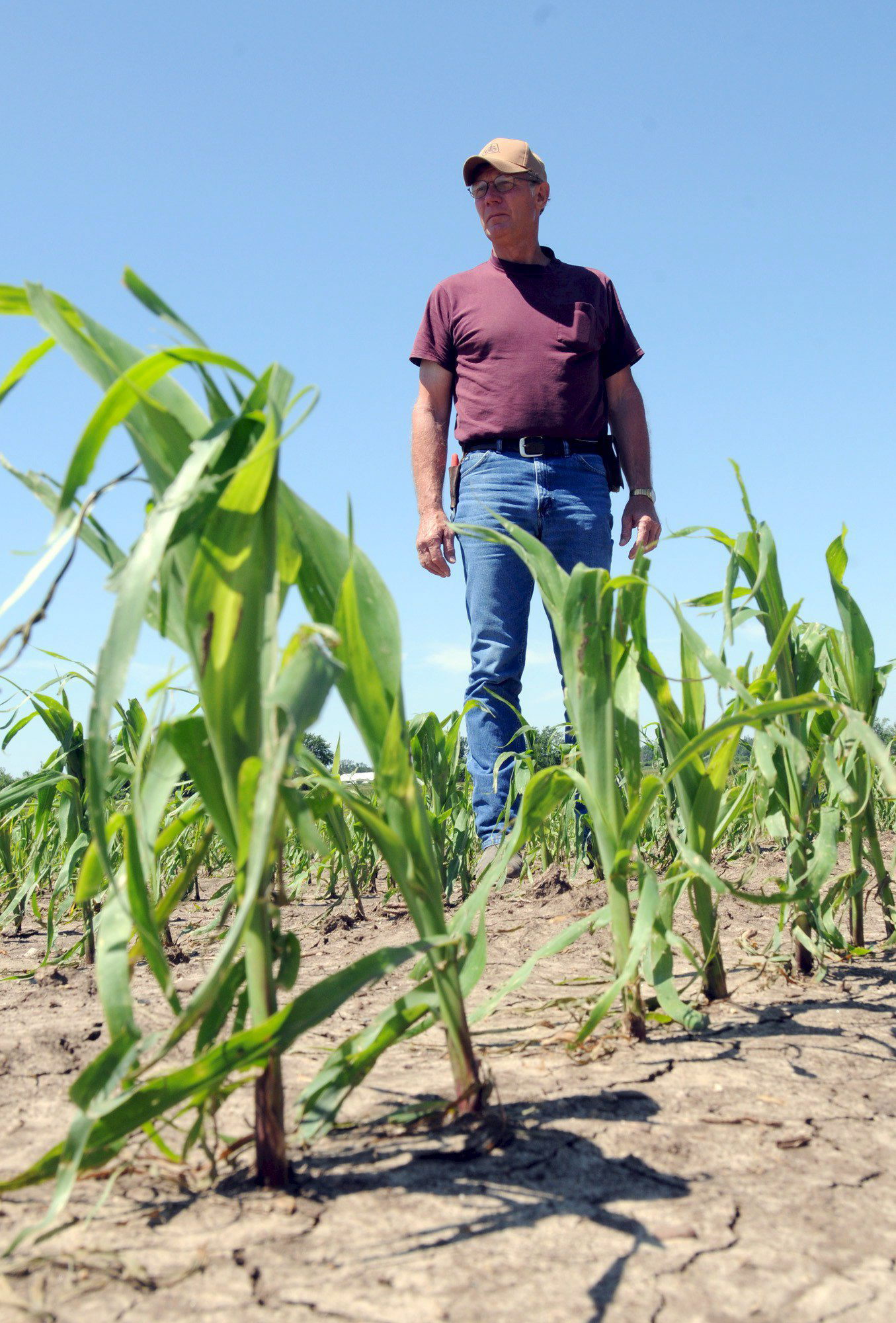 EEUU - INUNDACIONES:SPX125 - BLAIRSTOW (ESTADOS UNIDOS), 18/06/08.- El agricultor Darwin Vogt camina hoy, 18 de junio de 2008, por los surcos de su cultivo de maíz en la localidad de Blairstown, Iowa (EEUU), afectado por la crecida del río Mississippi y por las lluvias continuas en el último mes. Solo en el estado de Iowa, se perdió la producción de unos 5 millones de cultivos de maíz y soya, entre otros. 