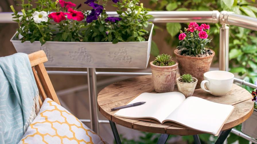 Por qué las plantas animan los pequeños espacios