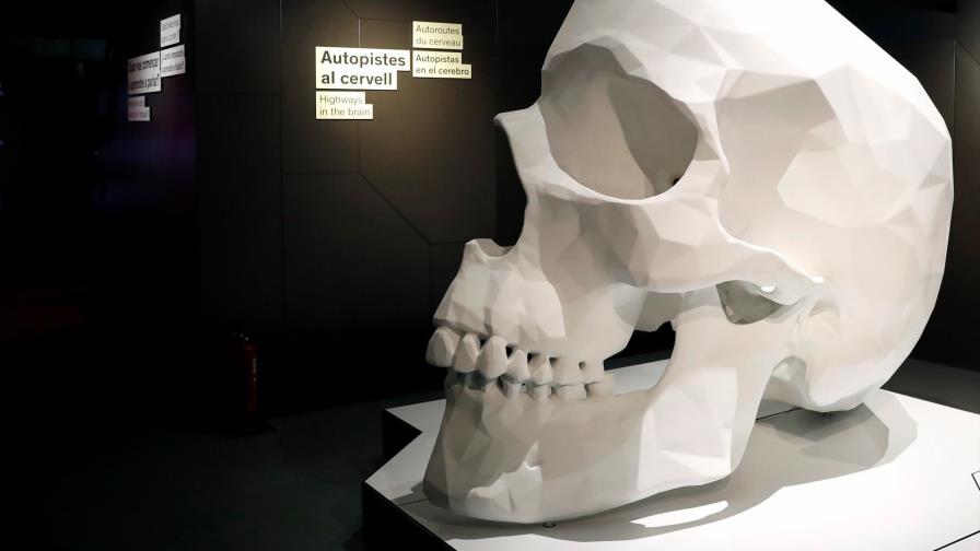 Neurociencia, ¿una nueva religión?