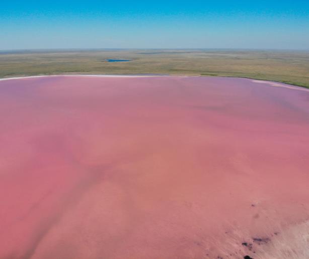 Lago Kobeytuz, la joya rosa de la estepa kazaja