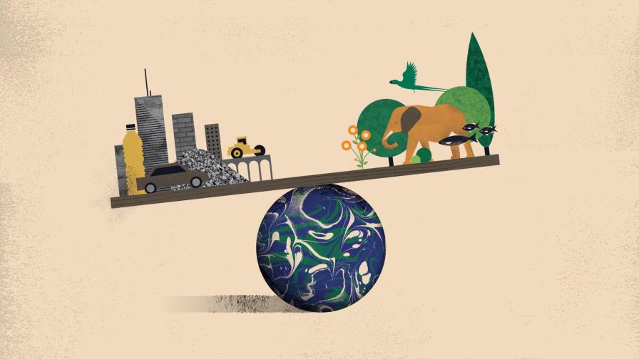 Más edificios que árboles