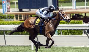Retorno de carreras salvaría a muchos dueños de caballos