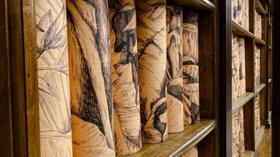 Biblioteca del Vaticano abre con nuevo espacio de arte