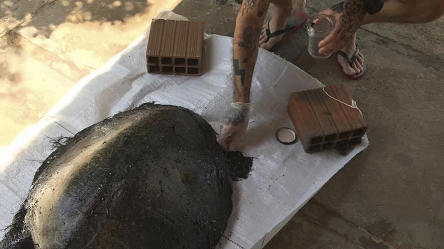 Bolsonaro pide investigar manchas de crudo frente a playas