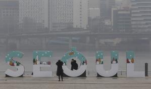 Seúl hará pruebas gratis de COVID-19 a las mascotas