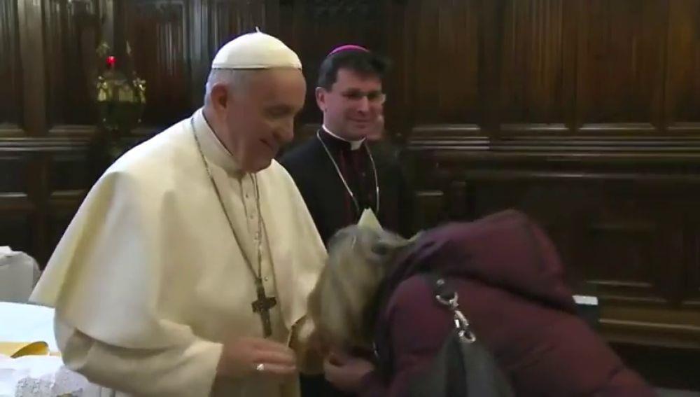 VIDEO: Se vuelve viral gesto del papa Francisco para evitar que le besen el anillo