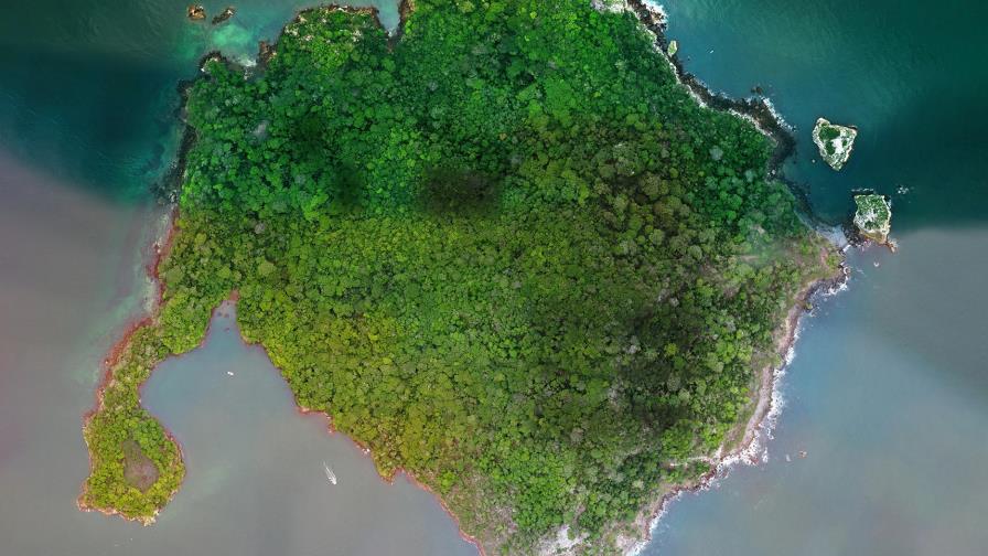 Panamá decide proteger isla en el Pacífico, hábitat de aves