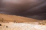 La antigua Arabia era verde y atrajo a los humanos de África La antigua Arabia era verde y atrajo a los humanos de África