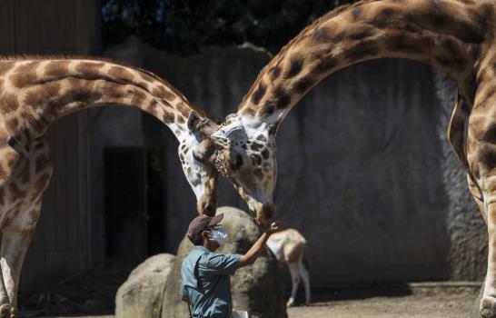 Las mejores fotos de la semana en América Latina